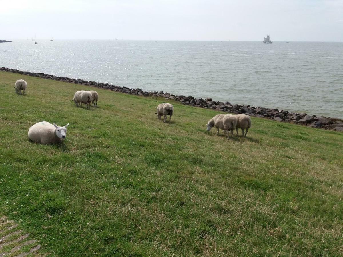 Heerlijk Huis Aan Het Ijsselmeer 斯塔福伦 外观 照片