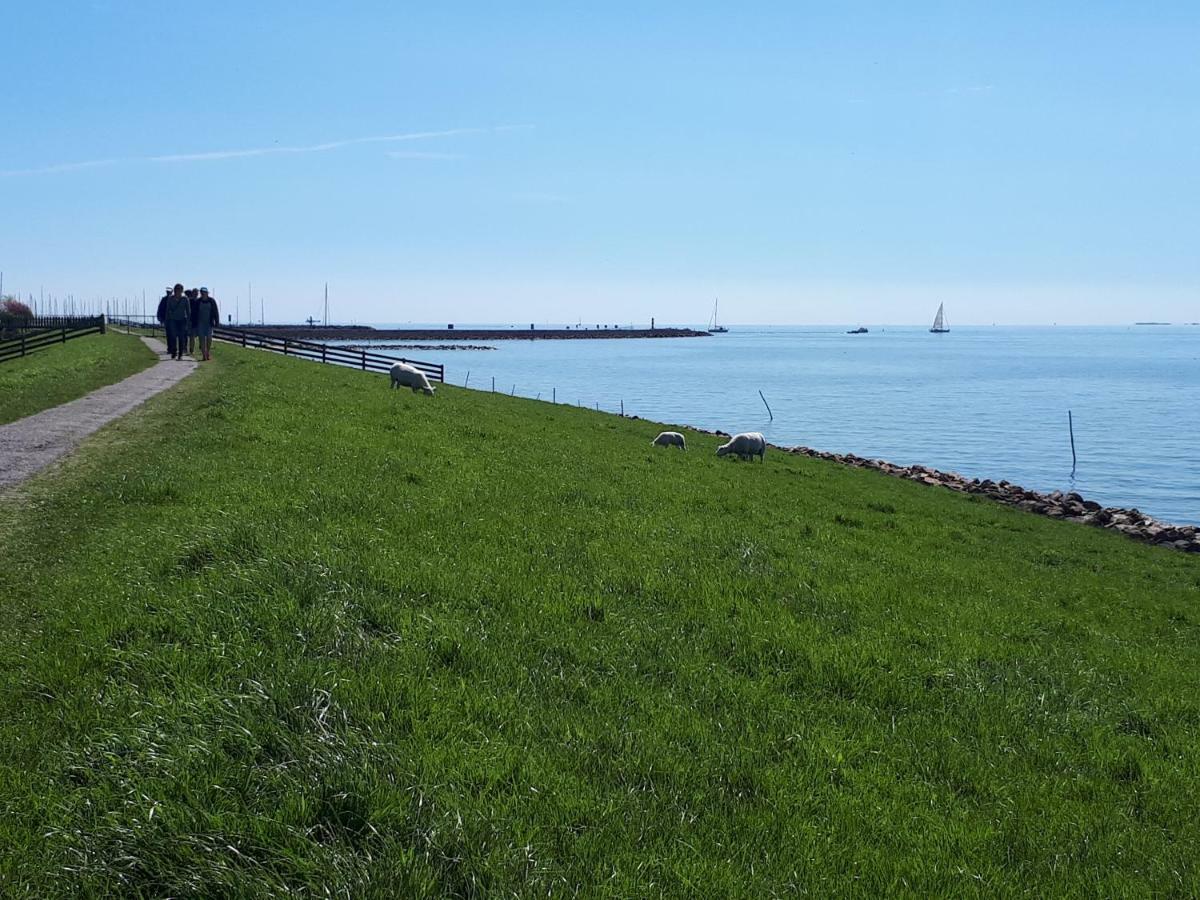 Heerlijk Huis Aan Het Ijsselmeer 斯塔福伦 外观 照片