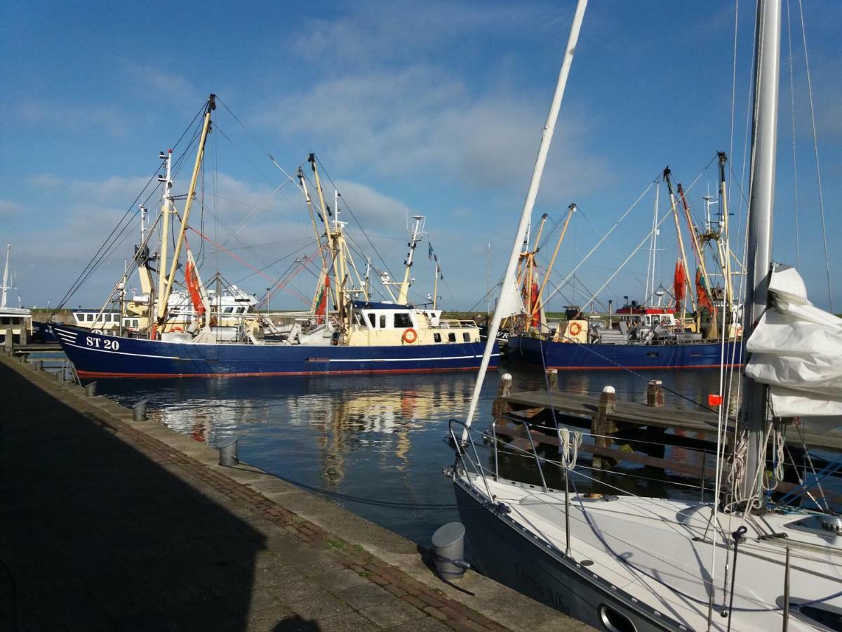 Heerlijk Huis Aan Het Ijsselmeer 斯塔福伦 外观 照片
